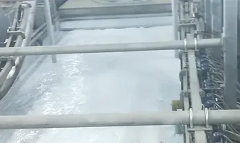 Pintura electroforética mantenida bajo agitación continua durante 24 horas